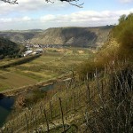 Mosel - in den Steillagen erbringt der Riesling oft unverwechselbare Weine