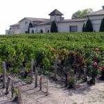 Château Mouton Rothschild, sanfte Hügel, die sich der Gironde zuneigen