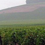 Corton und Corton Charlemagne, zwei berühmte, nicht erweiterbare Lagen im Burgund