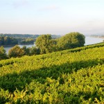 Wein und Rhein, das gehört zusammen und der Rheingau ist mitten drin